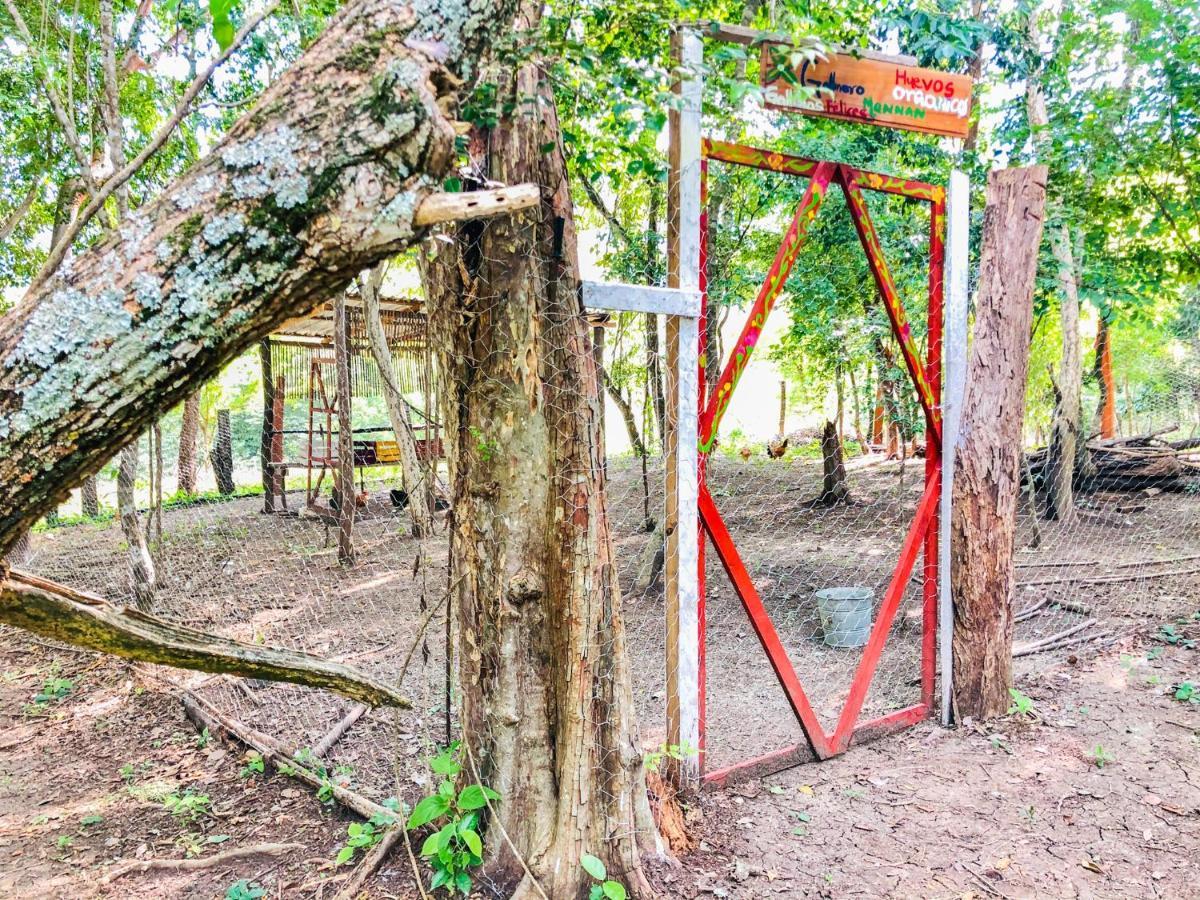 Cabañas Mannan Tanchachín Exterior foto